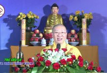 Trừ sầu lo – Thích Thiện Thuận tru sau lo thich thien thuan