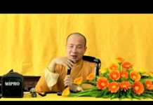 Trực Chỉ Tâm Mình Mà Tu – Thích Trí Huệ truc chi tam minh ma tu thich tr