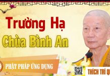 Trường Hạ Chùa Bình An – Thích Trí Quảng truong ha chua binh an thich tri