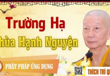 Trường Hạ Chùa Hạnh Nguyện – Thích Trí Quảng truong ha chua hanh nguyen thich