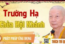 Trường Hạ Chùa Hội Khánh – Thích Trí Quảng truong ha chua hoi khanh thich t