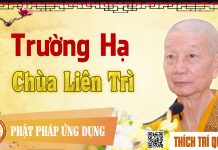 Trường Hạ Chùa Liên Trì – Thích Trí Quảng truong ha chua lien tri thich tr