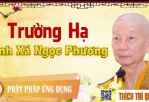 Trường Hạ Tịnh Xá Ngọc Phương – Thích Trí Quảng truong ha tinh xa ngoc phuong th