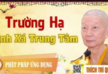 Trường Hạ Tịnh Xá Trung Tâm – Thích Trí Quảng truong ha tinh xa trung tam thic