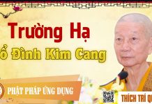 Trường Hạ Tổ Đình Kim Cang – Thích Trí Quảng truong ha to dinh kim cang thich