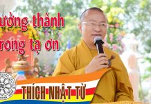 Trưởng thành trong tạ ơn – Thích Nhật Từ – 21/11/2004 truong thanh trong ta on thich n