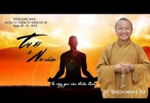 Tự Ái Và Nói Nhẩm Là Cây Gai Của Thiền Định – Thích Nhật Từ tu ai va noi nham la cay gai cua