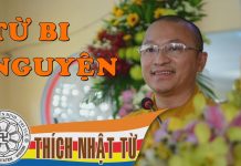 Từ bi nguyện (06/10/2004) – Thích Nhật Từ tu bi nguyen 06 10 2004 thich nh