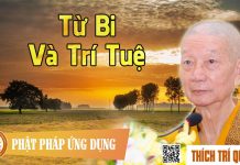 Từ Bi Và Trí Tuệ – Thích Trí Quảng tu bi va tri tue thich tri quang