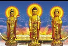Từ Bỏ Để Sống Vui – Thích Nữ Như Lan tu bo de song vui thich nu nhu l