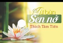 Từ Bùn Sen Nở – Thích Tâm Tiến tu bun sen no thich tam tien