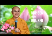 Từ búp sen thành hoa sen – Thích Nhật Từ tu bup sen thanh hoa sen thich n
