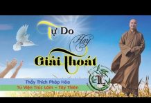 Tự Do Hay Giải Thoát (vấn đáp) – Thích Pháp Hòa tu do hay giai thoat van dap thi