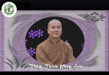 Tự Do Và Tự Tại – Thích Pháp Hòa tu do va tu tai thich phap hoa