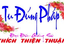 Tu Đúng Pháp – Thích Thiện Thuận tu dung phap thich thien thuan