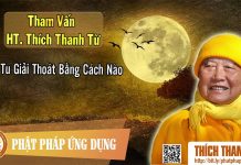 Tu Giải Thoát Bằng Cách Nào – Tham vấn HT Thích Thanh Từ 25 tu giai thoat bang cach nao tham