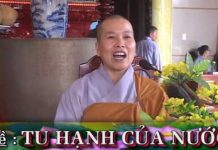 Tu Hạnh Của Nước – Thích Nữ Như Lan tu hanh cua nuoc thich nu nhu la