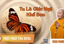 Tu Là Giác Ngộ Khổ Đau – Thích Phước Tiến tu la giac ngo kho dau thich phu