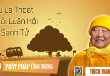 Tu Là Thoát Khỏi Luân Hồi Sanh Tử – Thích Thanh Từ tu la thoat khoi luan hoi sanh t