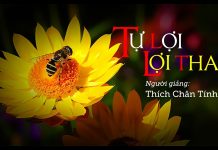Tự Lợi Lợi Tha – Thích Chân Tính tu loi loi tha thich chan tinh 1