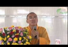 Tu Lời Tu Lỗ – Thích Thiện Tuệ tu loi tu lo thich thien tue