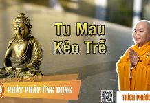 Tu Mau Kẻo Trễ – Thích Phước Tiến tu mau keo tre thich phuoc tien