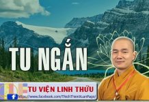 Tu Ngắn – Thích Thiện Xuân tu ngan thich thien xuan