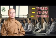 Tu Nhà, Tu Chợ, Tu Chùa – Thích Pháp Hòa tu nha tu cho tu chua thich phap