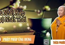 Tu Nhất Kiếp Ngộ Nhất Thời – Thích Phước Tiến tu nhat kiep ngo nhat thoi thich 1