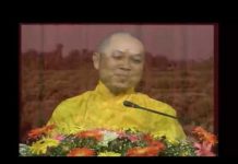 Tu Như Trồng Cây – Thích Chân Tính tu nhu trong cay thich chan tinh