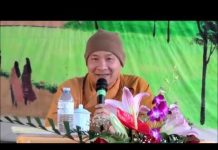 Tu Niệm Phật Và Hành Trì – Thích Trí Huệ tu niem phat va hanh tri thich t