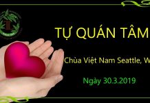 Tự quán tâm – Thích Pháp Hòa tu quan tam thich phap hoa