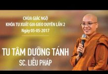 Tu Tâm Dưỡng tánh – Thích Nữ Liễu Pháp tu tam duong tanh thich nu lieu