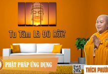 Tu Tâm Là Đủ Rồi ? – Thích Phước Tiến tu tam la du roi thich phuoc tie