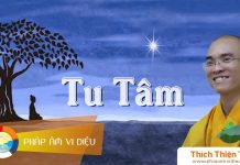 Tu Tâm – Thích Thiện Tuệ tu tam thich thien tue