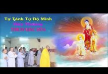 Tự Tánh Tự Độ Mình – Thích Giác Hóa tu tanh tu do minh thich giac ho