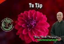 Tu tập – Thích Pháp Hòa tu tap thich phap hoa