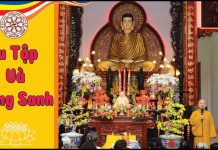 Tu tập và vãng sinh – TT Thích Nhật Từ tu tap va vang sinh tt thich nha