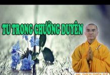 Tu Trong Chướng Duyên – Thích Thiện Tuệ tu trong chuong duyen thich thie