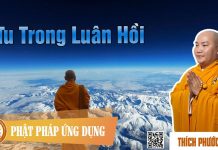 Tu Trong Luân Hồi – Thích Phước Tiến tu trong luan hoi thich phuoc ti