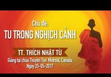 Tu Trong Nghịch Cảnh – Thích Nhật Từ tu trong nghich canh thich nhat