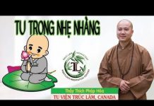 Tu Trong Nhẹ Nhàng (vấn đáp) – Thích Pháp Hòa tu trong nhe nhang van dap thich