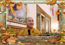 Tự Vấn – Thích Pháp Hòa tu van thich phap hoa