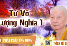 Tu Vô Lượng Nghĩa 1 – Thích Trí Quảng tu vo luong nghia 1 thich tri qu