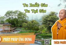 Tu Xuất Gia Và Tu Tại Gia – Thích Phước Tiến tu xuat gia va tu tai gia thich 1