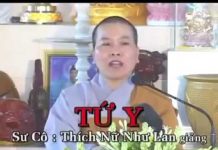 Tứ Y – Thích Nữ Như Lan tu y thich nu nhu lan