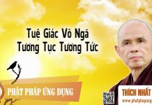 Tuệ Giác Vô Ngã Tương Tục Tương Tức – Thích Nhất Hạnh tue giac vo nga tuong tuc tuong