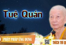 Tuệ Quán – Thích Trí Quảng tue quan thich tri quang