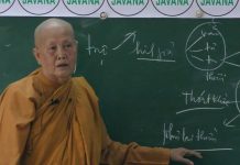 Tuệ Thấu Đạt – Thích Nữ Tâm Tâm tue thau dat thich nu tam tam