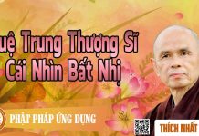 Tuệ Trung Thượng Sĩ – Cái Nhìn Bất Nhị – Thích Nhất Hạnh tue trung thuong si cai nhin bat